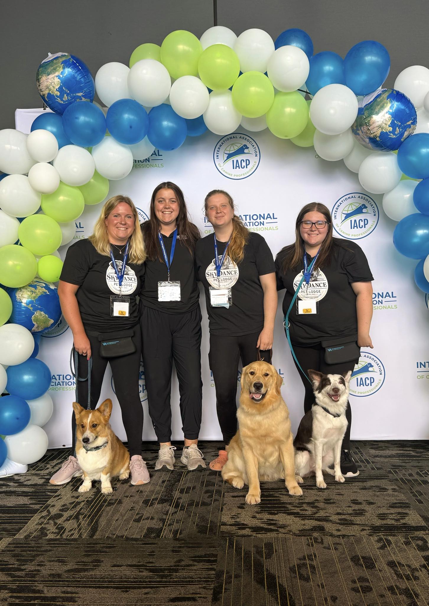 SkyDance Pet Lodge New Berlin