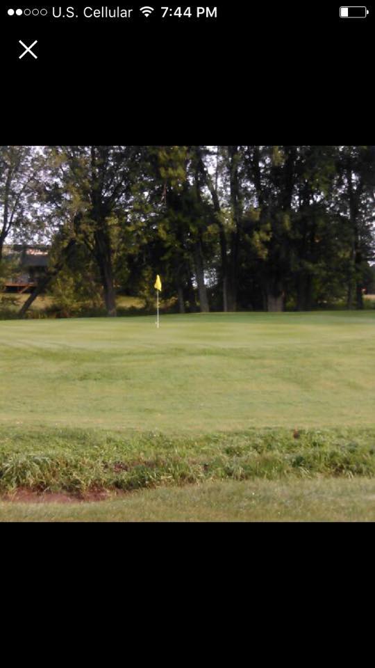 MP Green Lawn