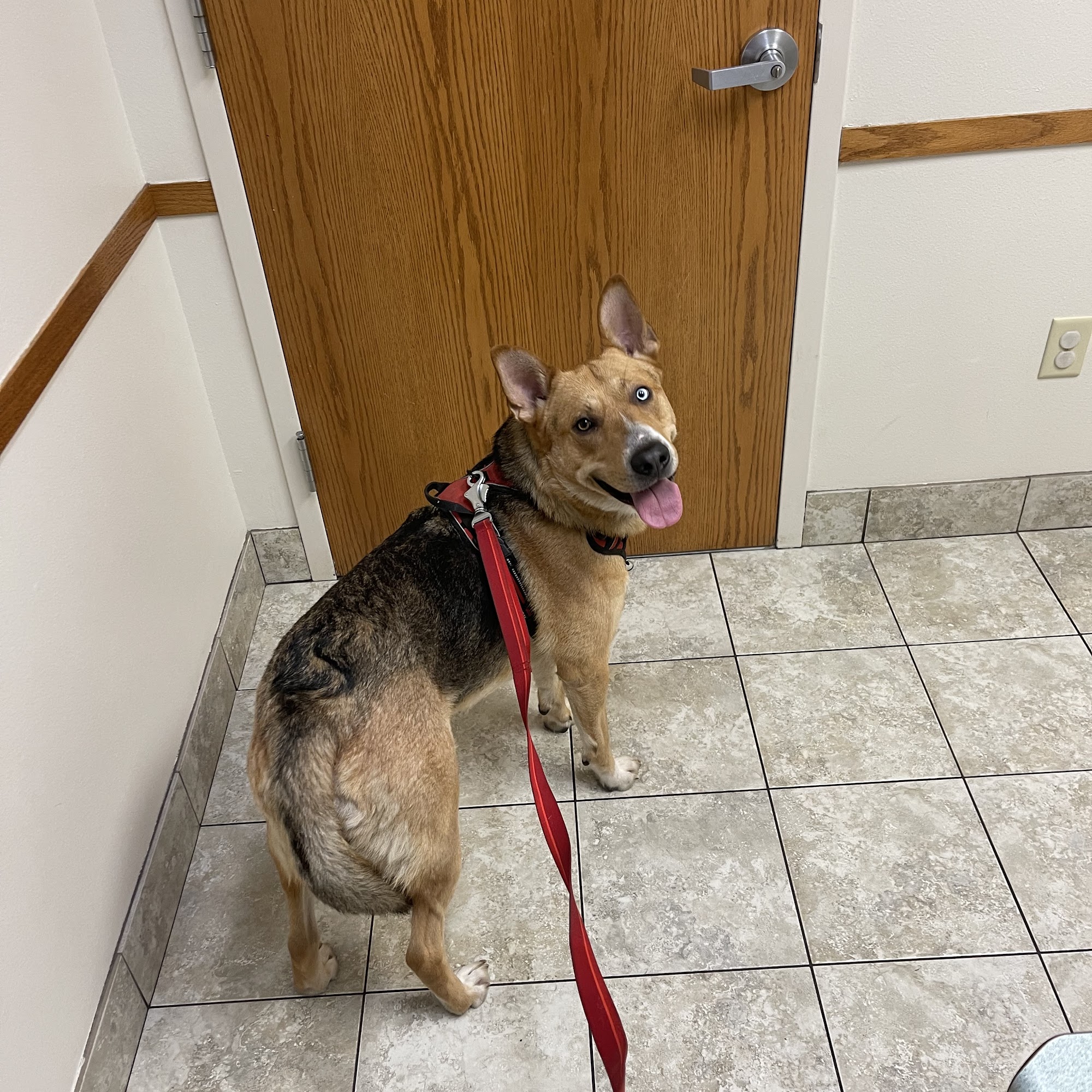 New Richmond Veterinary Clinic New Richmond