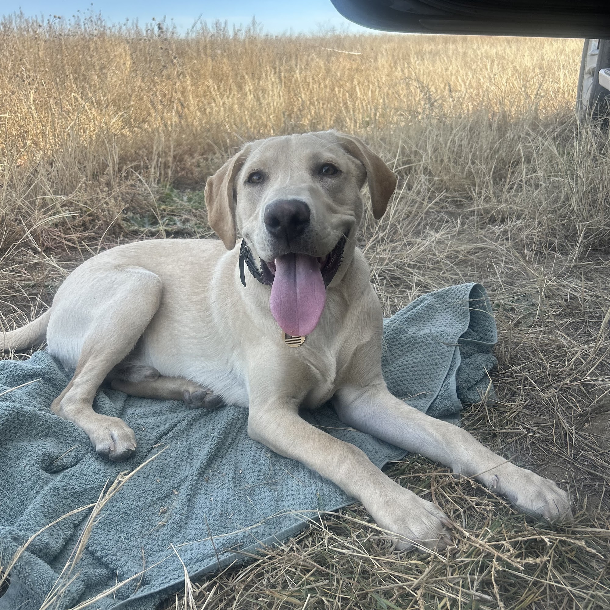 River Stone Kennels New Richmond