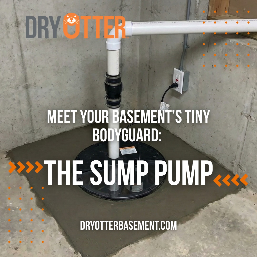 Dry Otter Basement Waterproofing