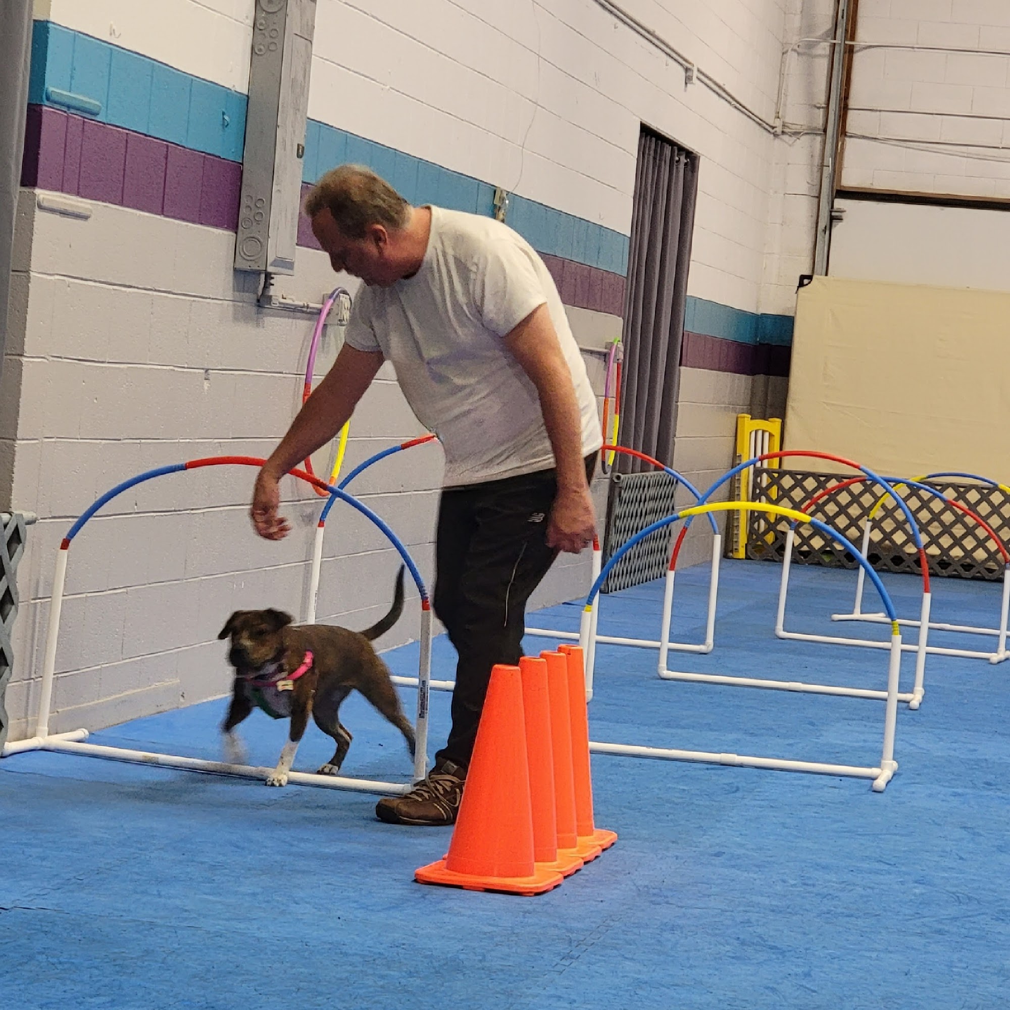 Agility Possibilities Oak Creek