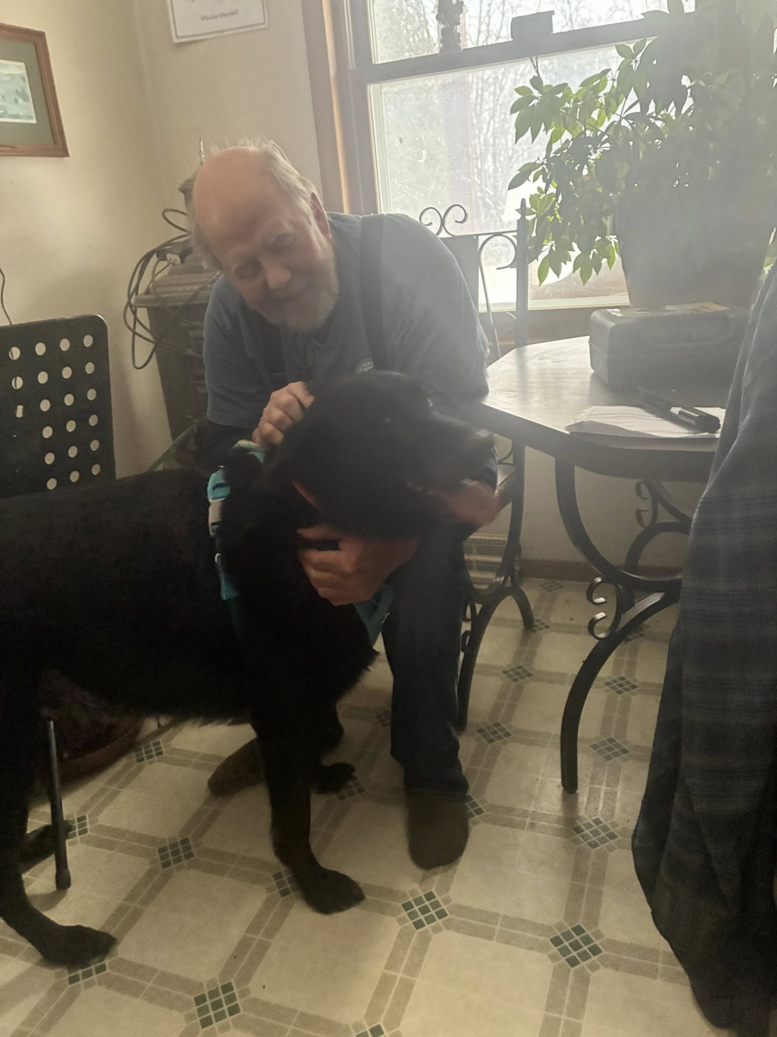 K-9 Creations Country Resort Oconto Falls