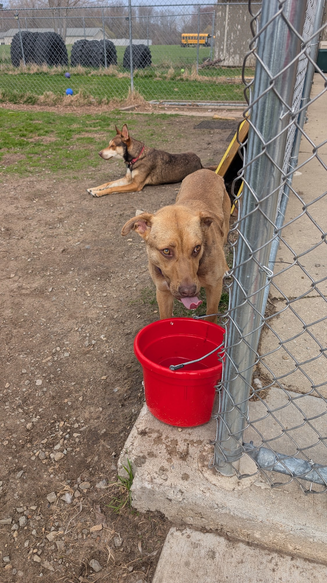Oconto Area Humane Society Inc Oconto