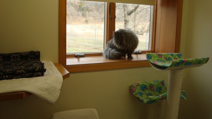 VCA Sand Lake Animal Hospital Onalaska