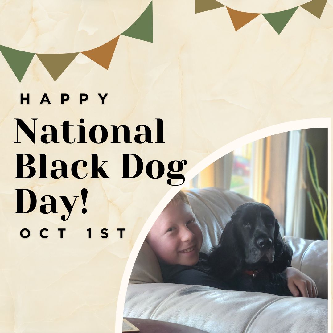 Big River K9 Grooming Food and Supplies Onalaska