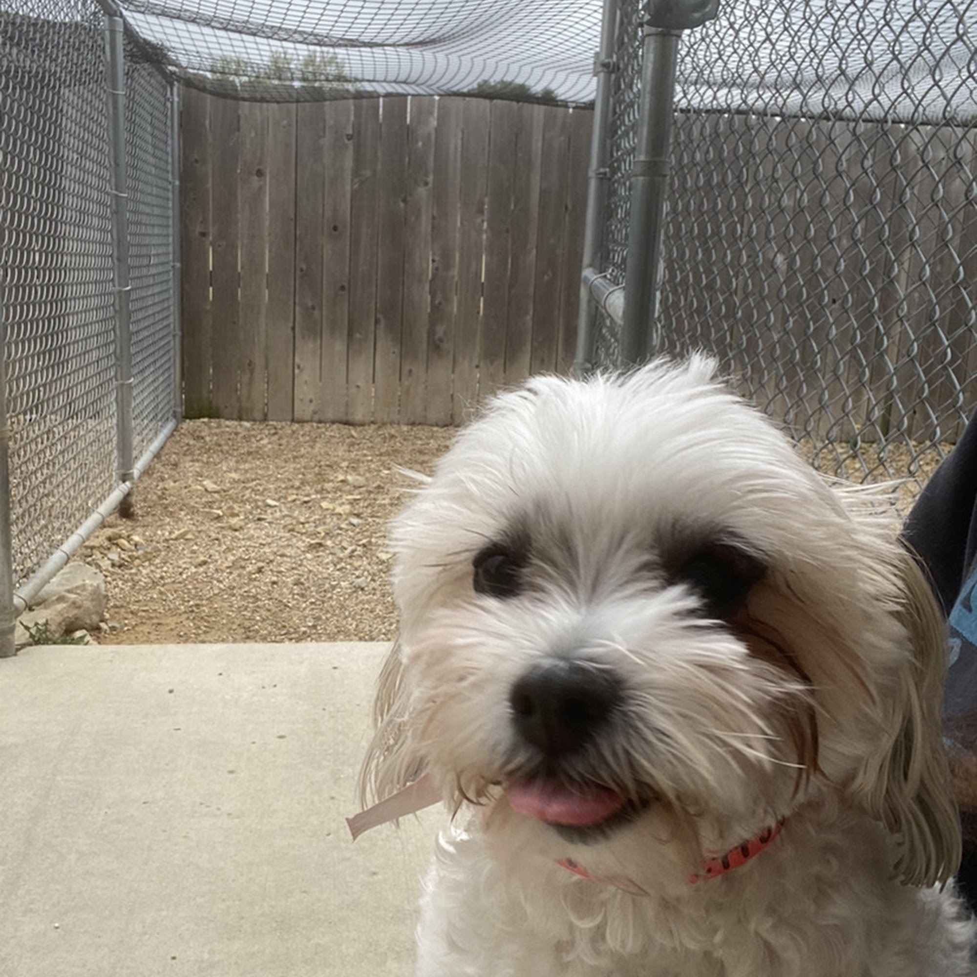 Country View Veterinary Service Oregon