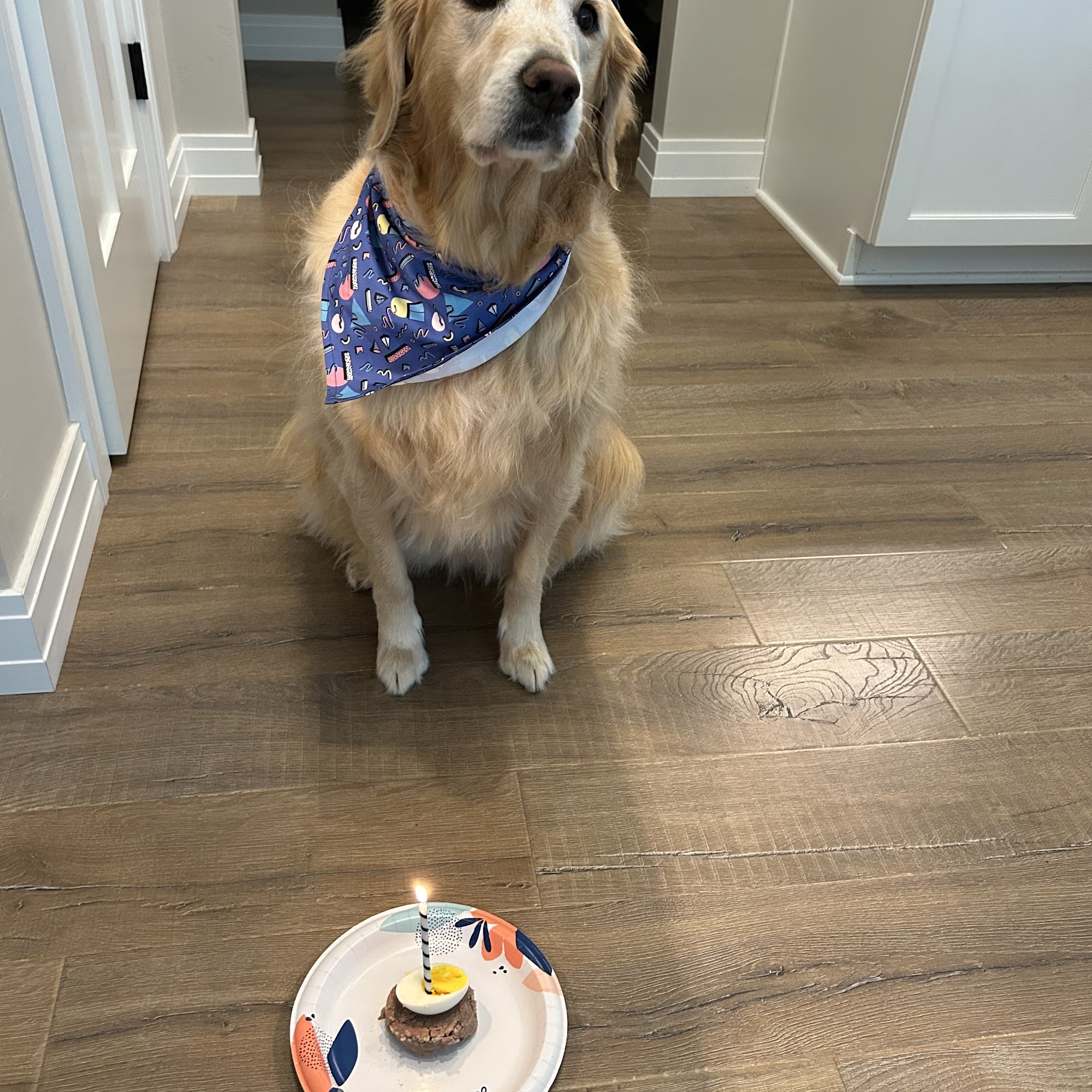 A Touch of Class Pet Resort Oshkosh