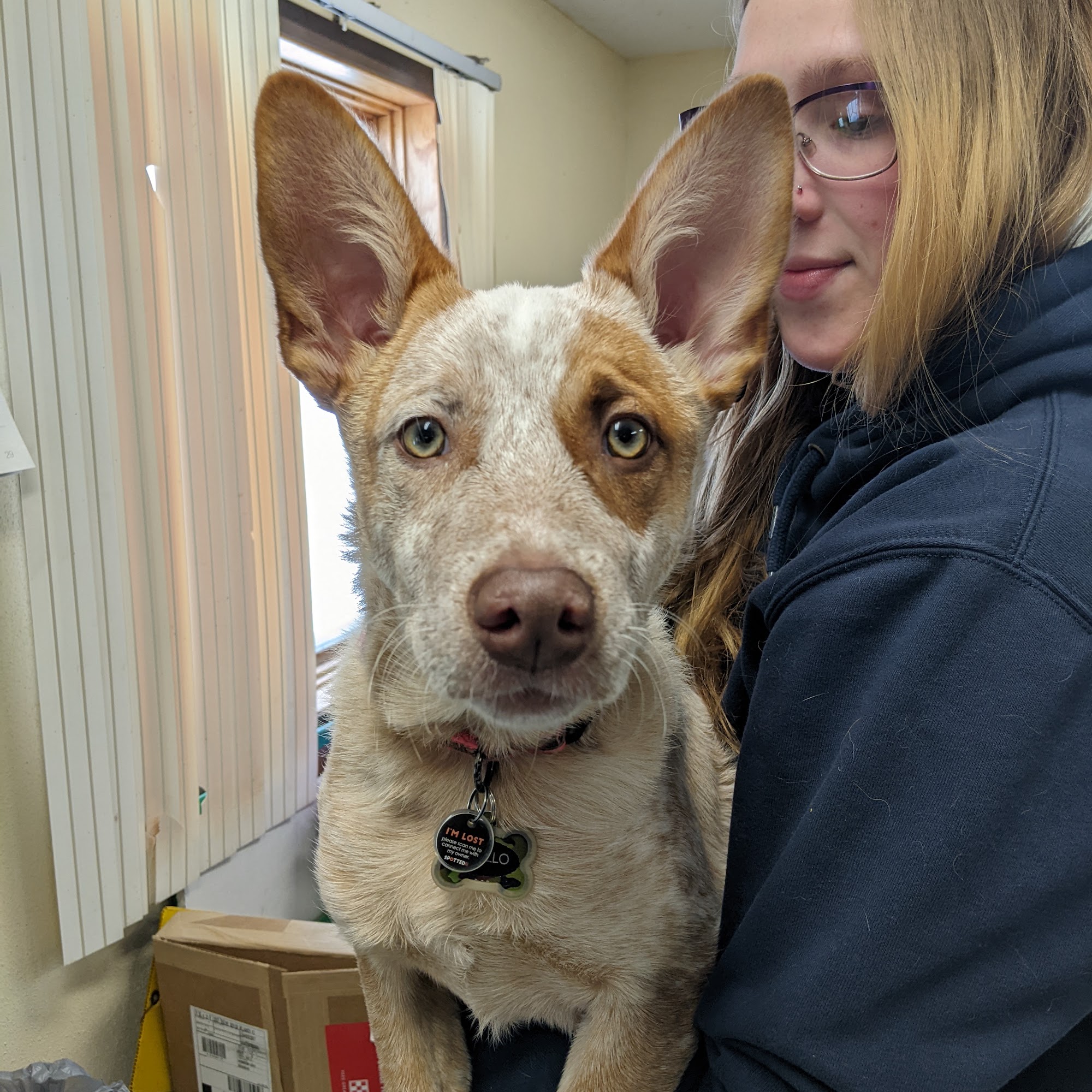 Chief Feeds & Daly Creek Tack Oshkosh