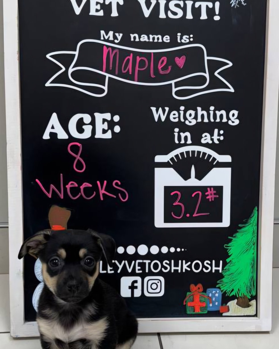 Valley Veterinary Hospital Oshkosh