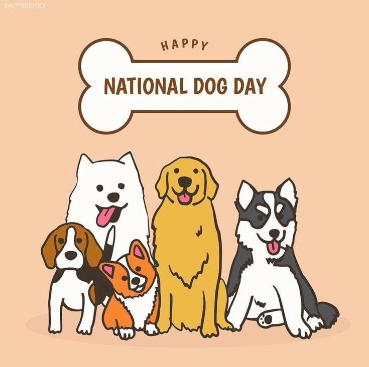 Valley Veterinary Hospital Oshkosh