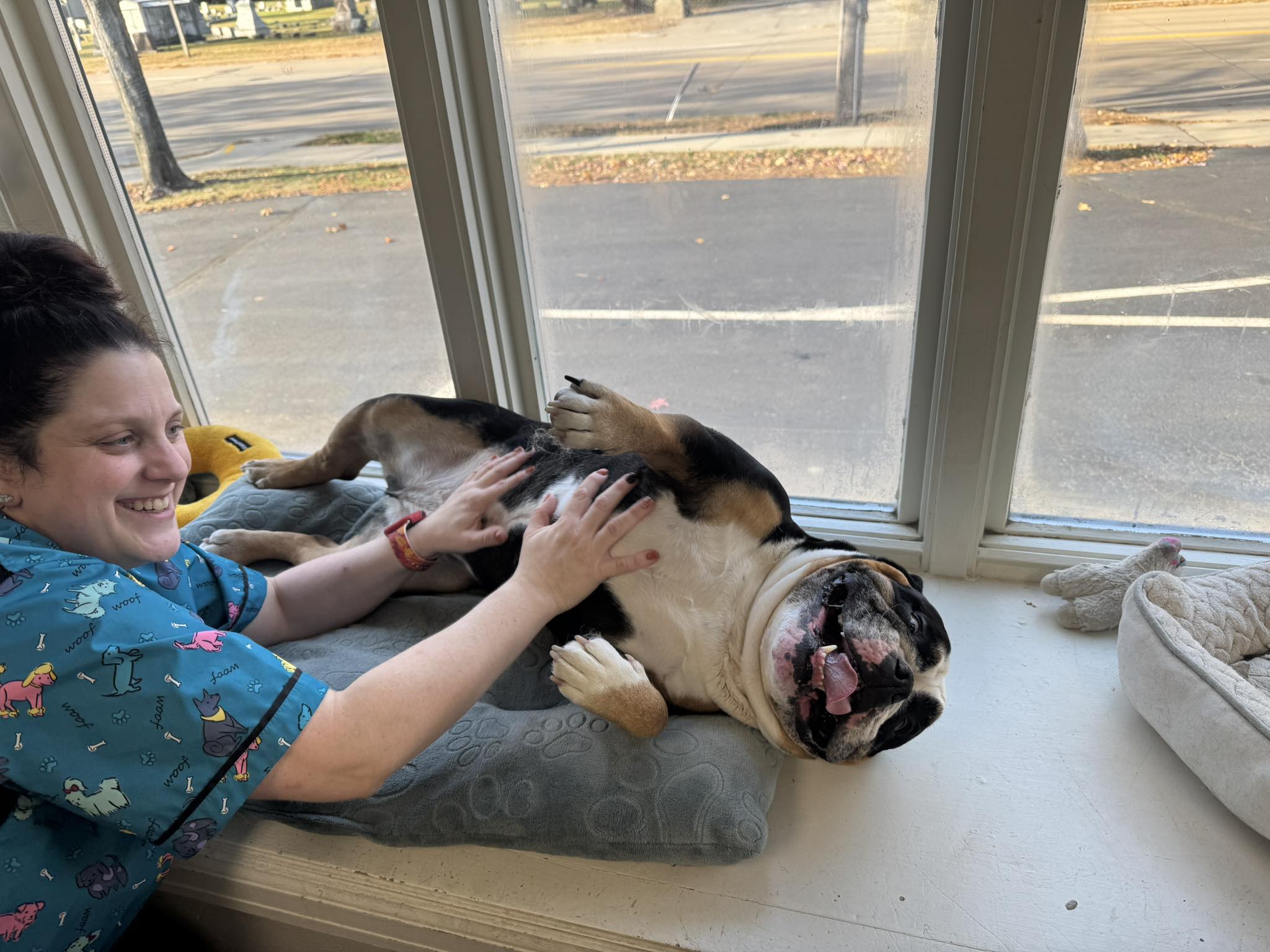 A Touch Of Class Pet Spa Oshkosh