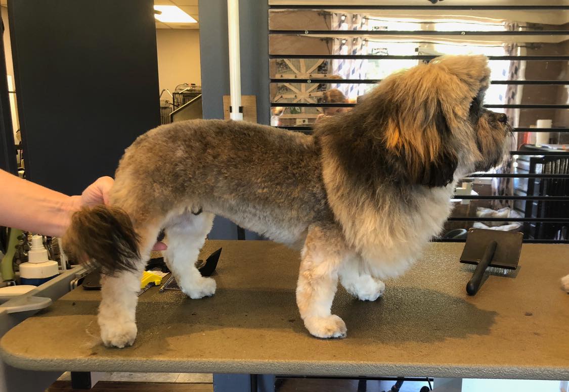 A Touch Of Class Pet Spa Oshkosh