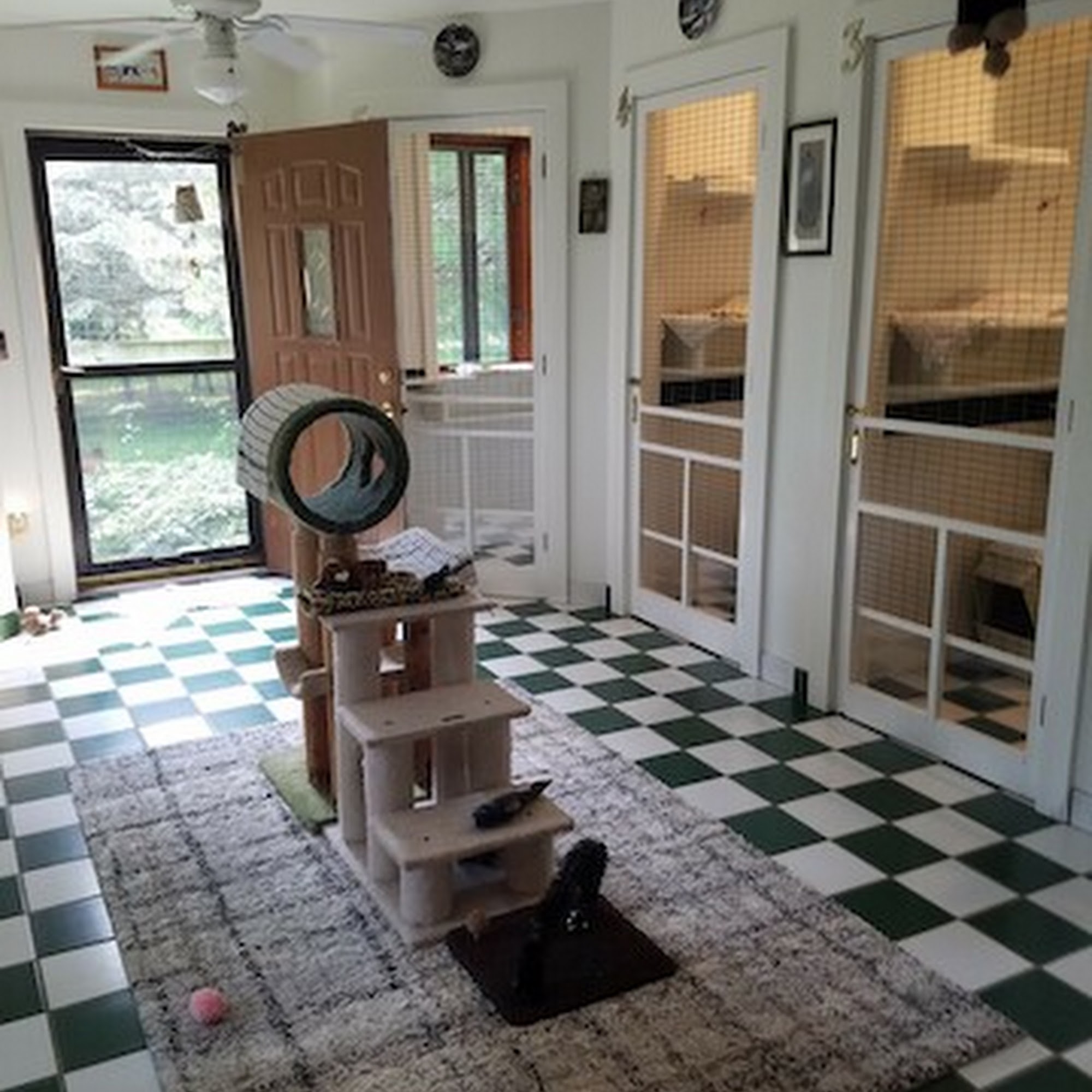 Cats Cozy Inn Oshkosh