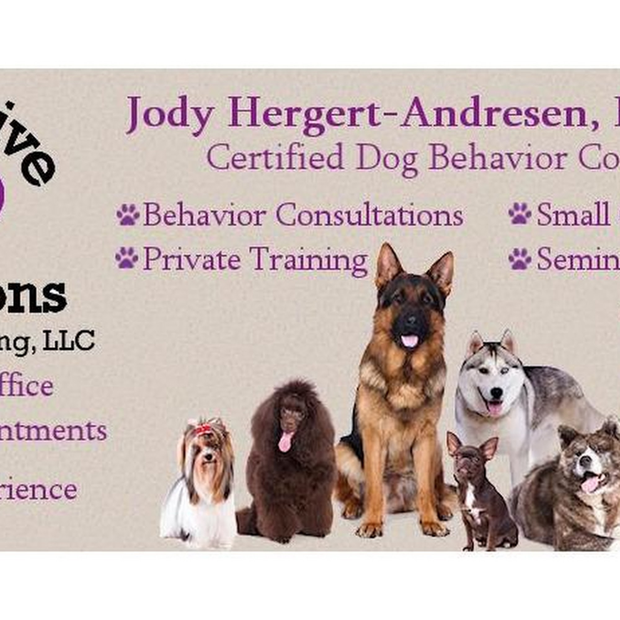 Pawsitive Directions Behavior & Training, LLC Oshkosh