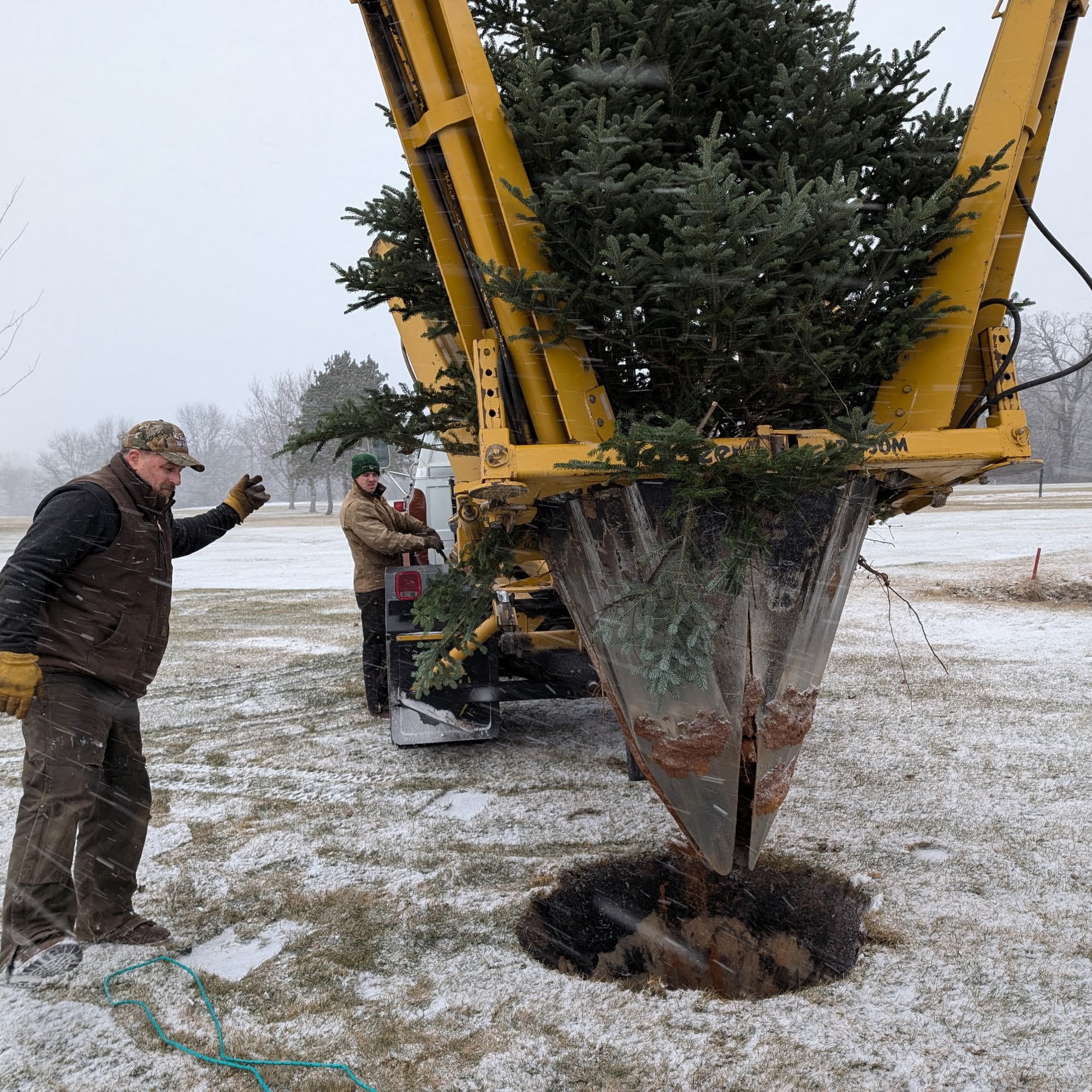 DLD Tree Co 255 County Rd EE, Oxford Wisconsin 53952