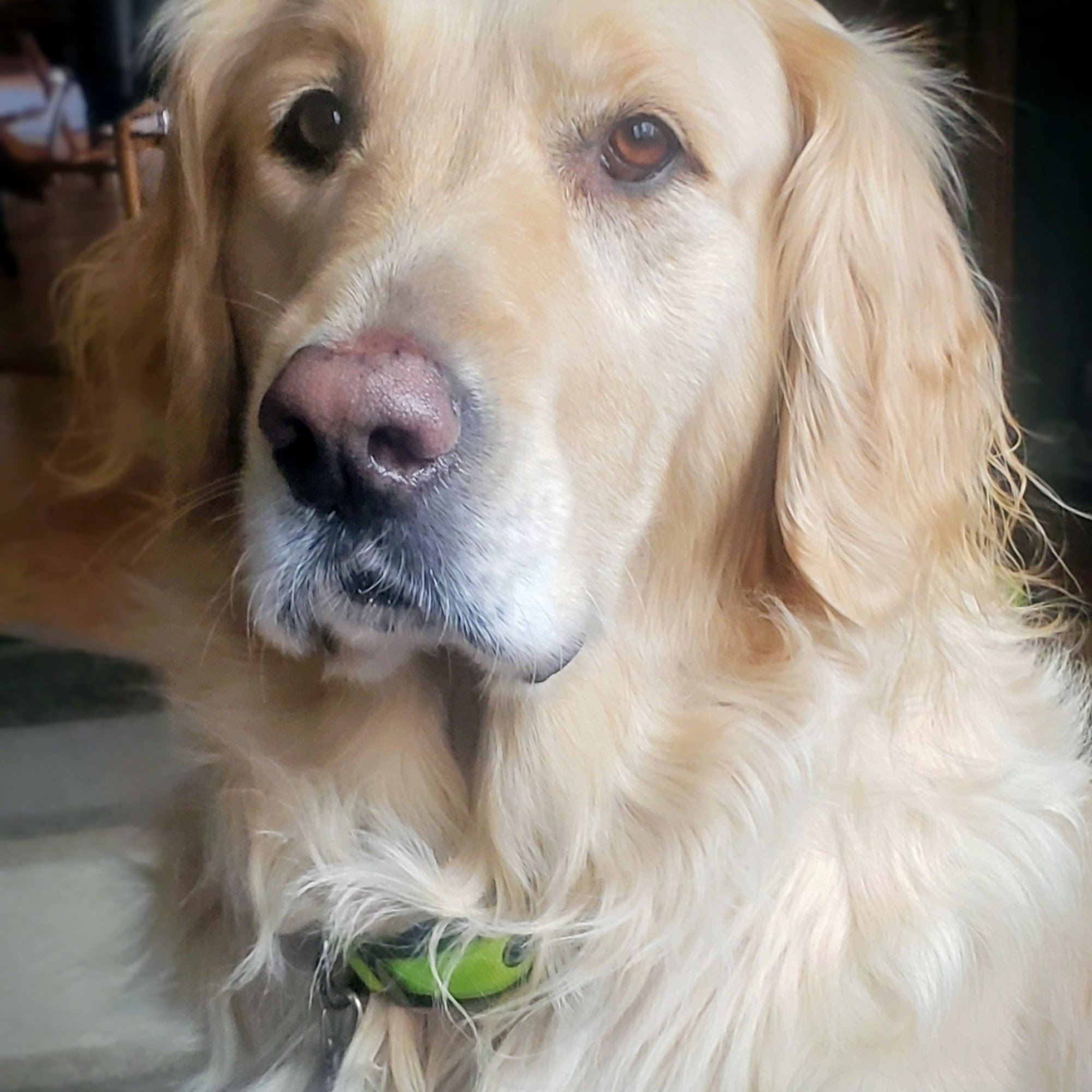 Phillips Veterinary Clinic: Fleming Roger L DVM Phillips