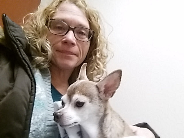 Platteville Veterinary Clinic LLP Platteville