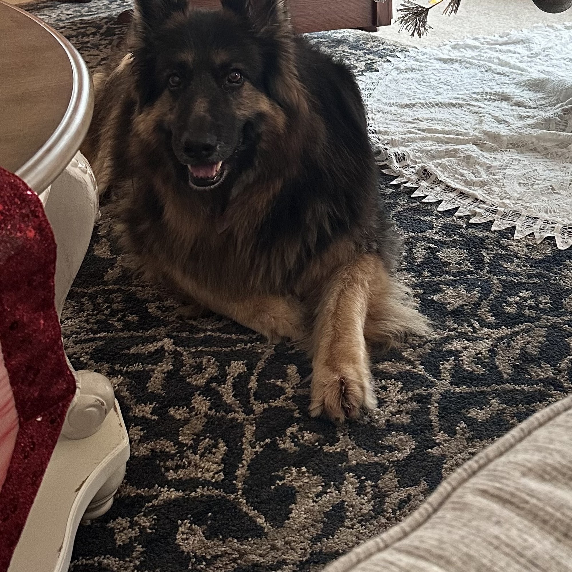 Willow Springs Veterinary Clinic Pleasant Prairie