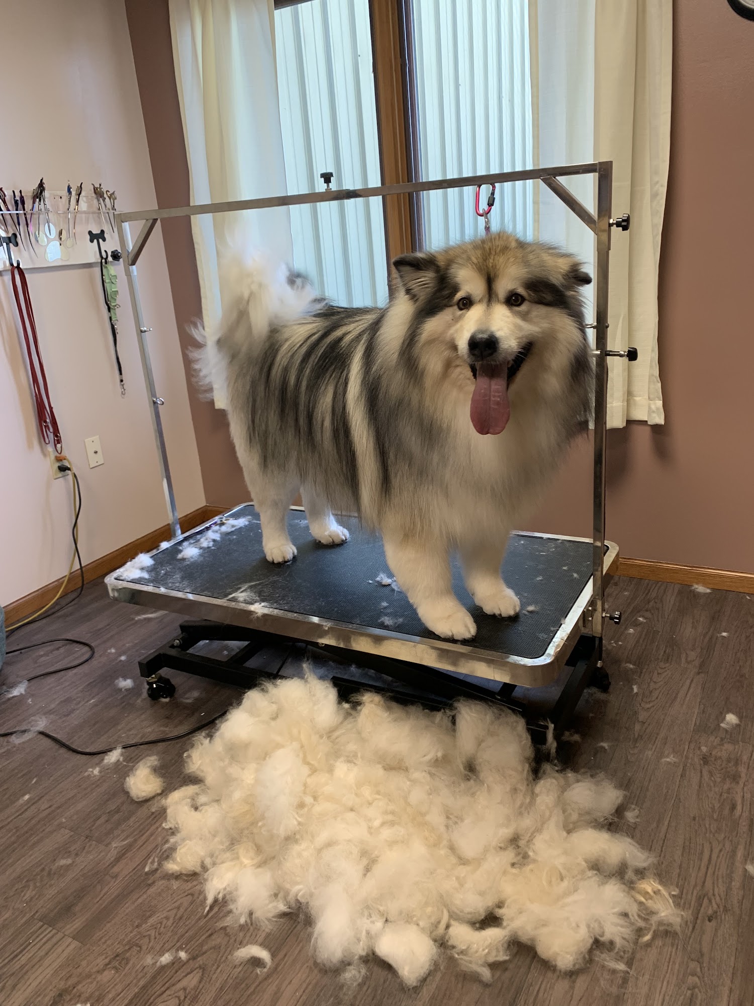 The Plover Rover LLC Plover