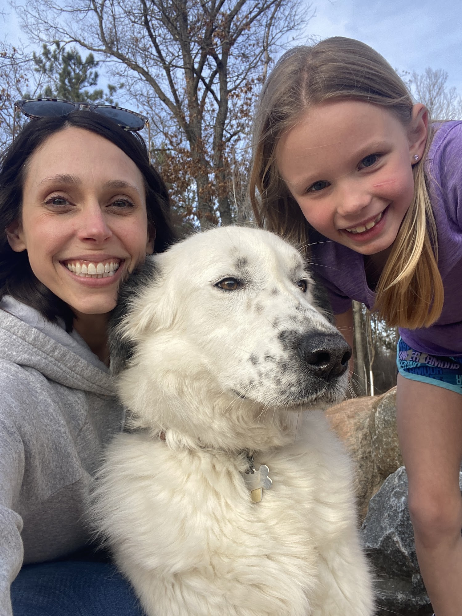 Country Paws Bed & Biscuit Plover