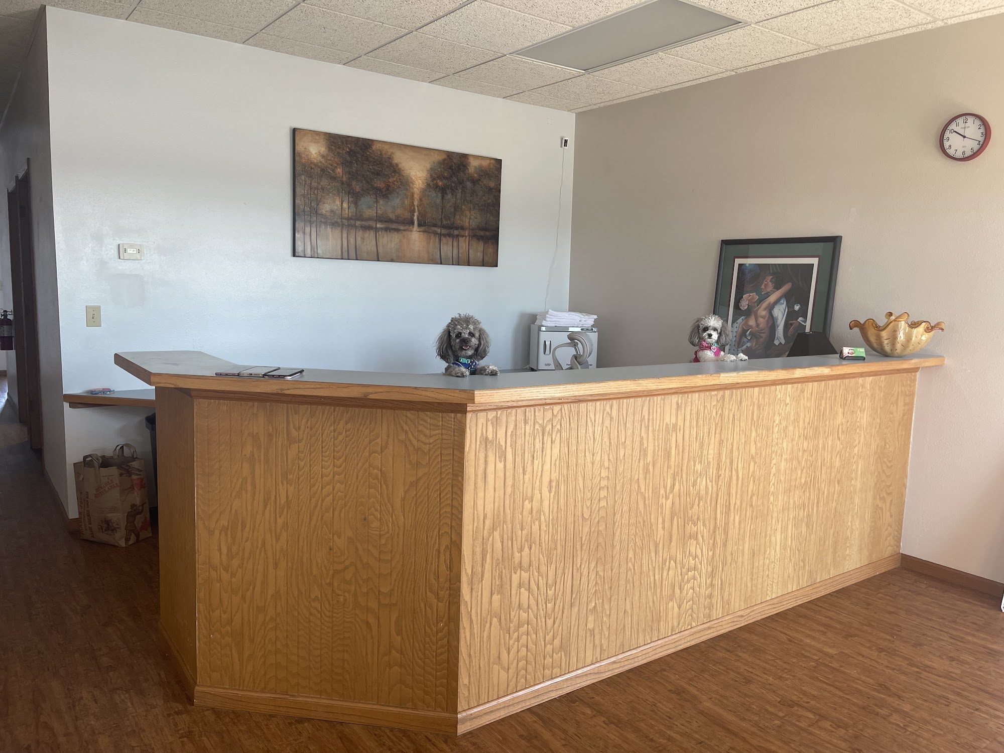 V SPA 2939 New Pinery Rd, Portage Wisconsin 53901