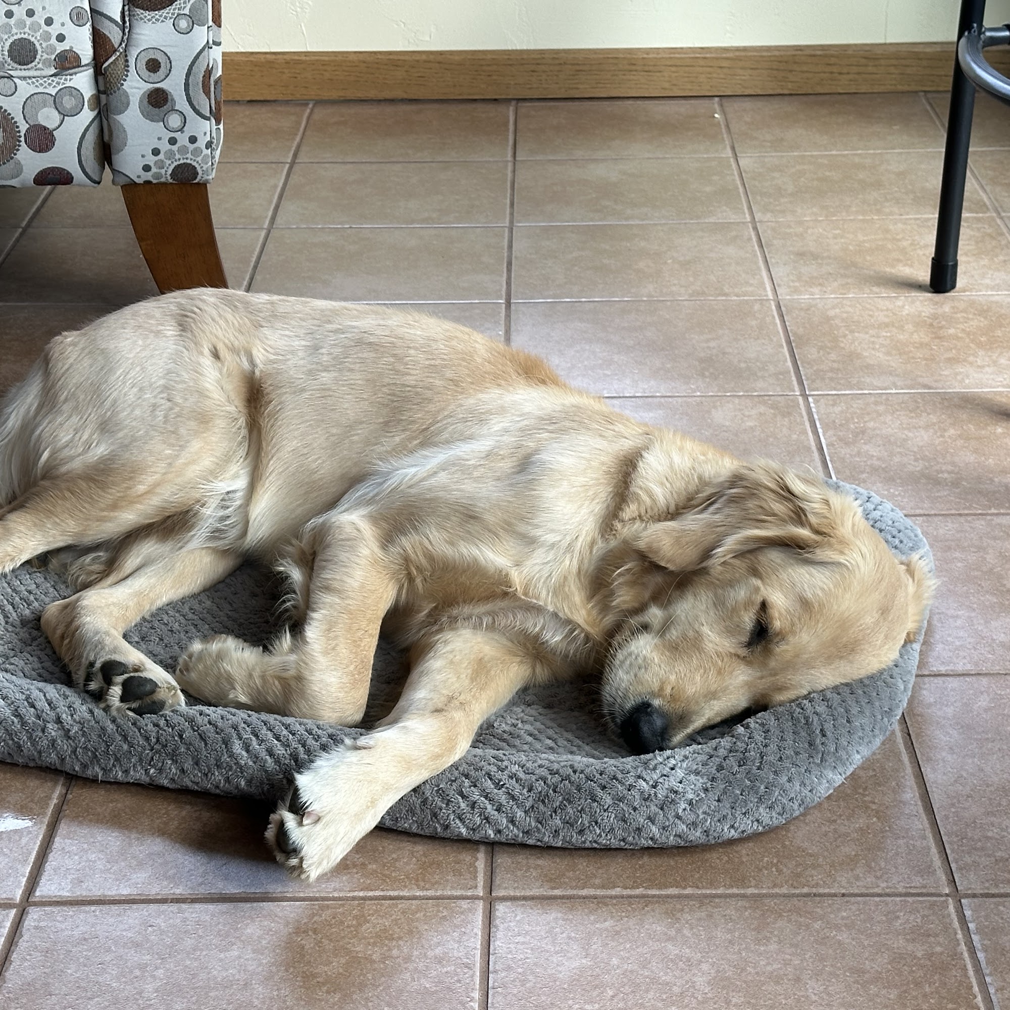 Southwest Veterinary Services, S.C. Prairie du Chien