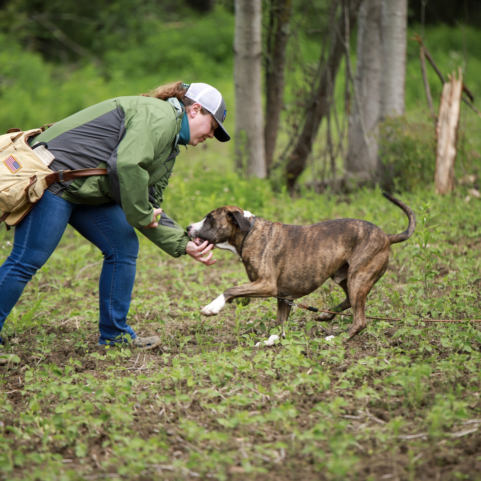DogBone Hunter Pulaski