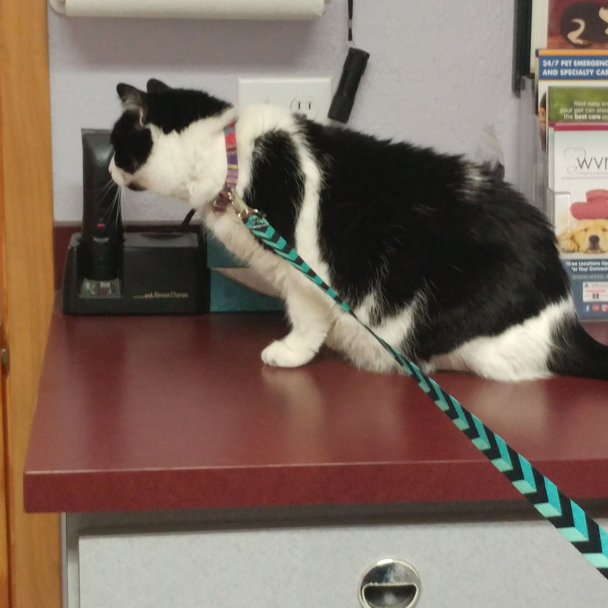 Beechwood Veterinary Clinic Racine