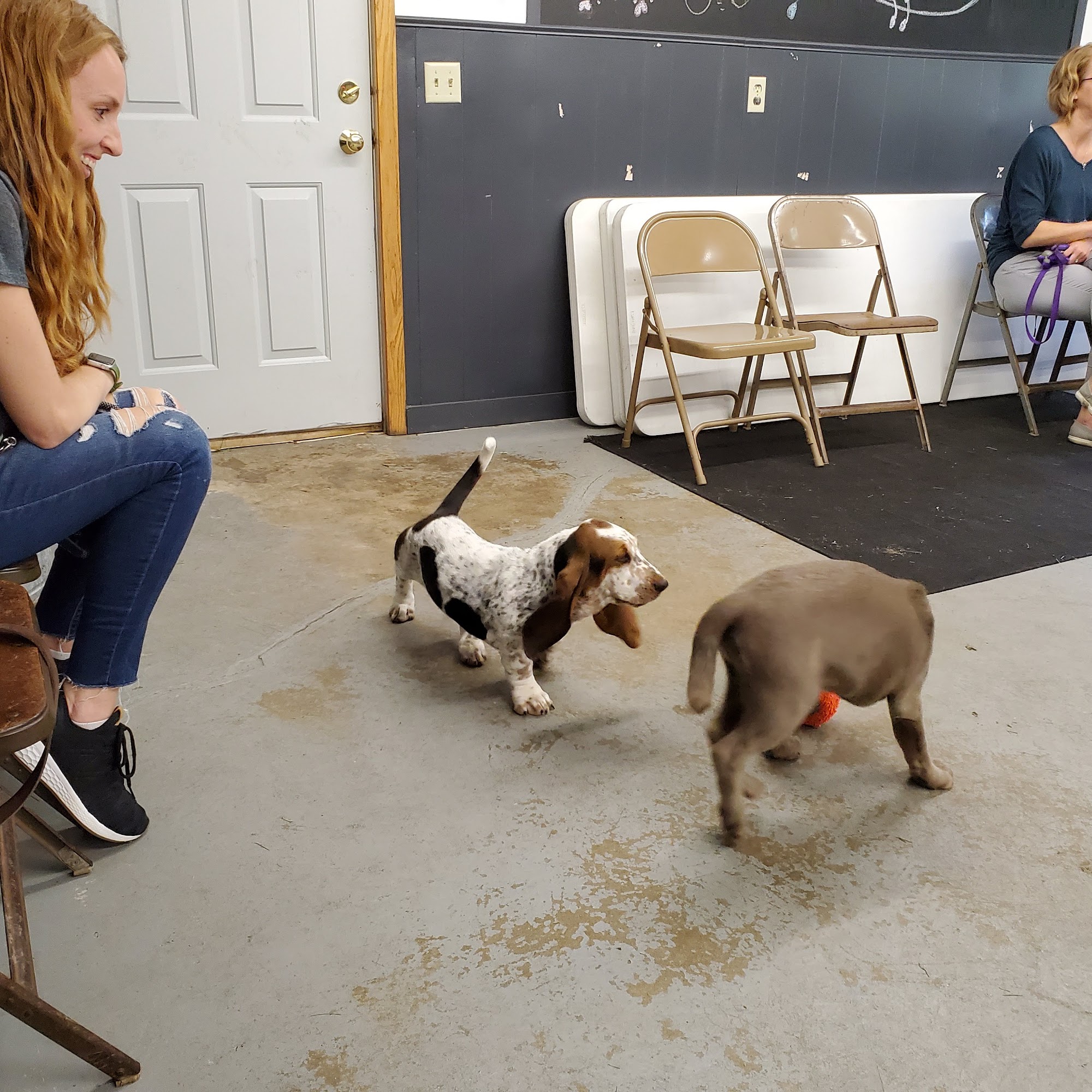 Greater Racine Kennel Club Racine