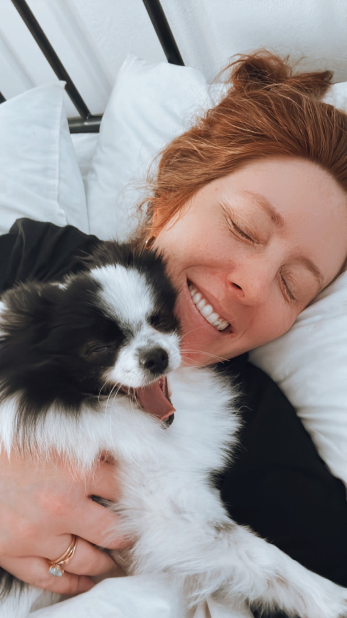 Greater Racine Kennel Club Racine