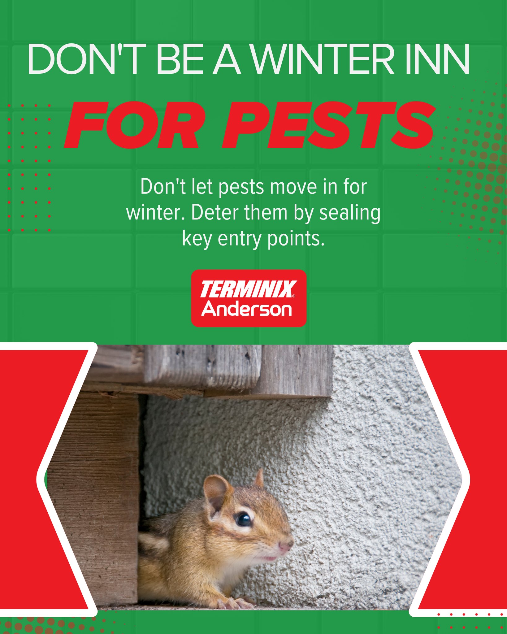 Anderson Pest Solutions