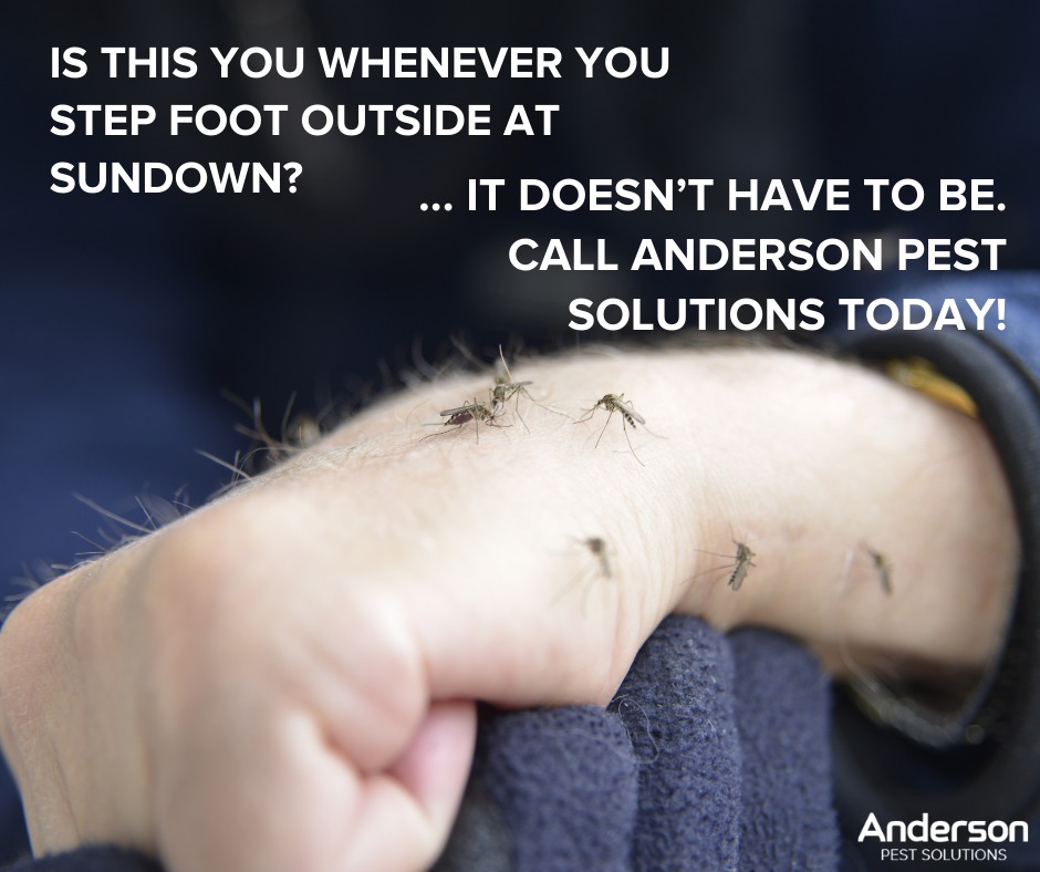 Anderson Pest Solutions