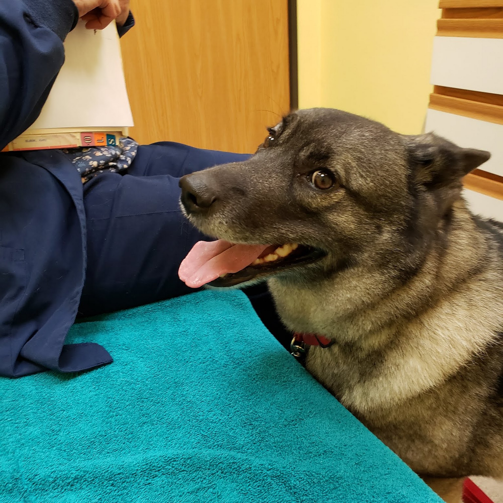 Reedsburg Small Animal Clinic Reedsburg