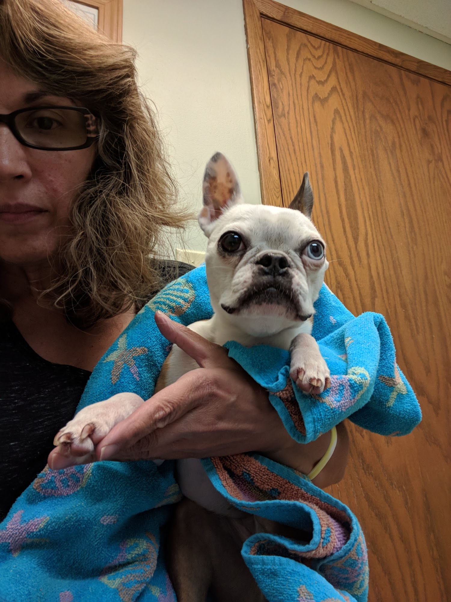 Animal Health Care Center Rhinelander