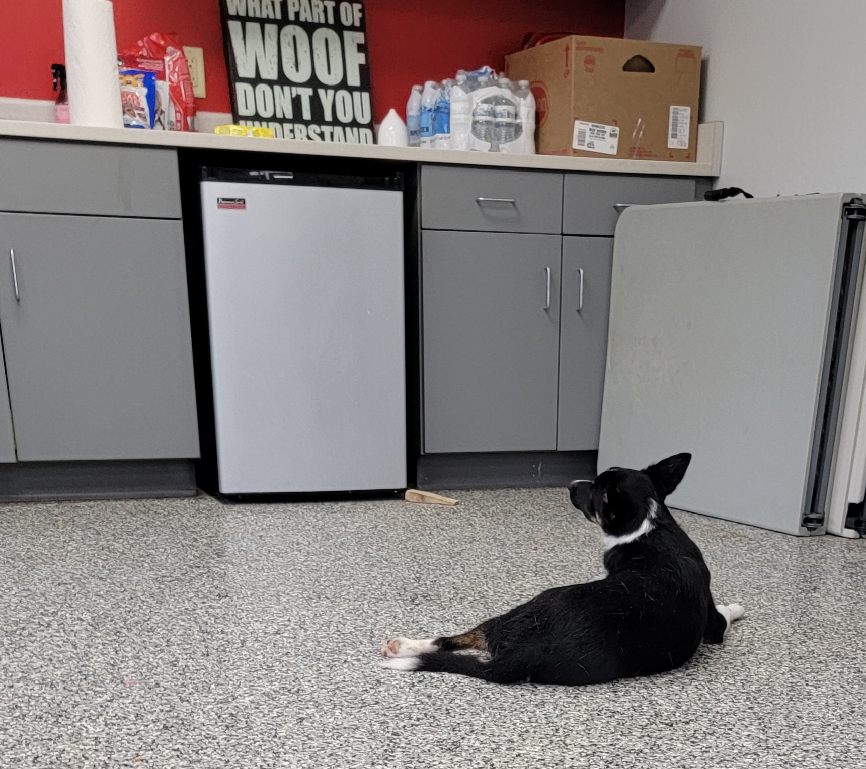 Oneida County Humane Society Rhinelander