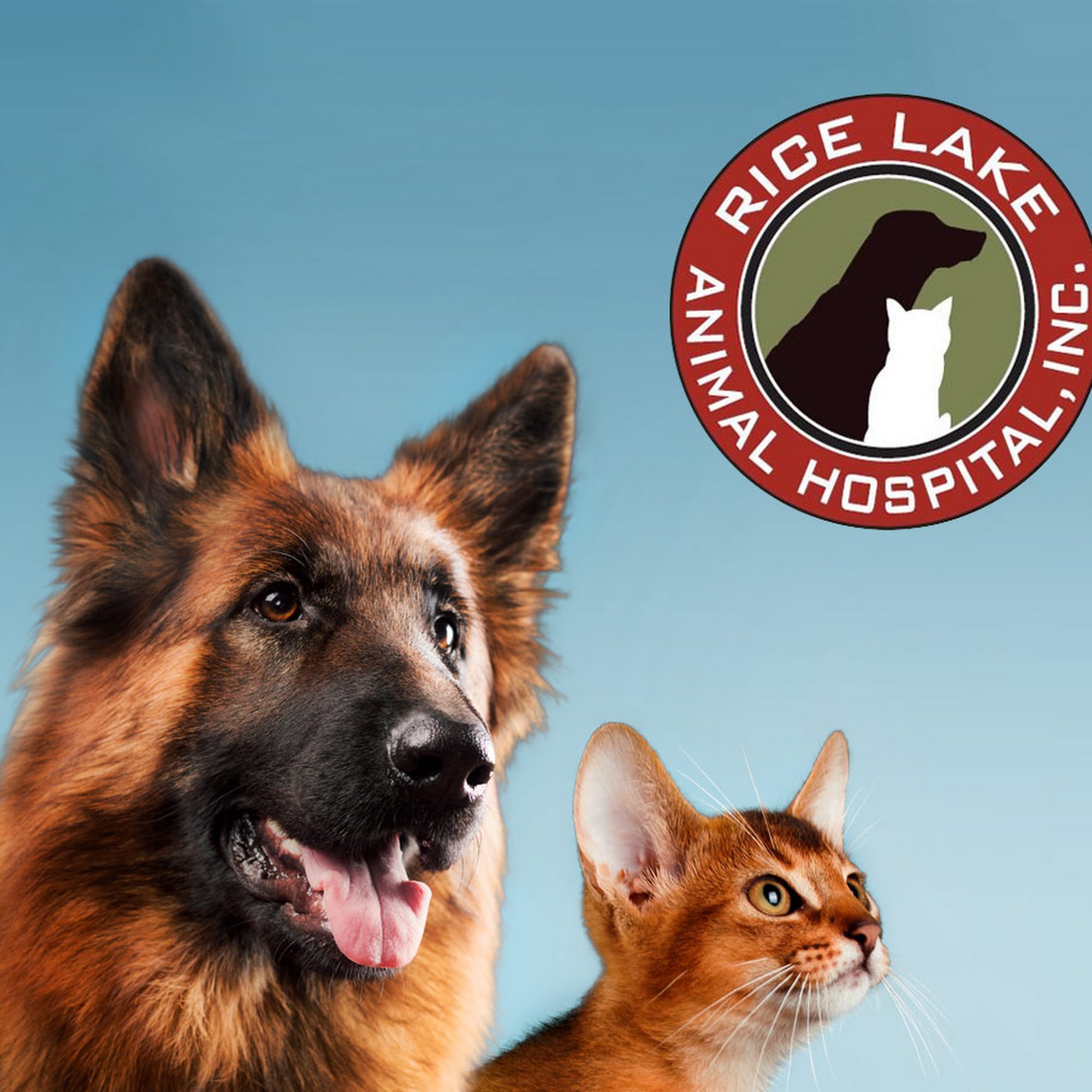 Rice Lake Animal Hospital Rice Lake