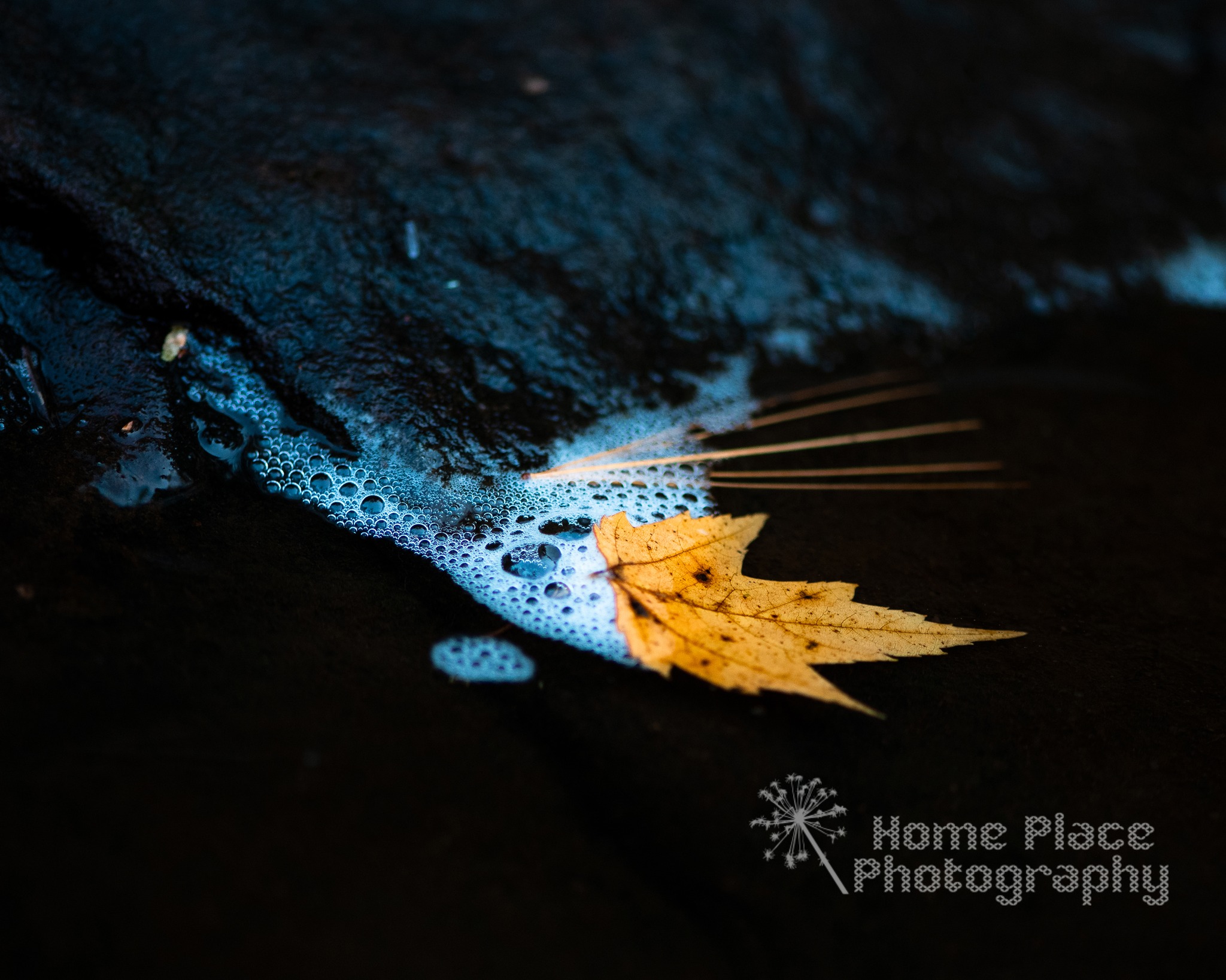 Home Place Photography
