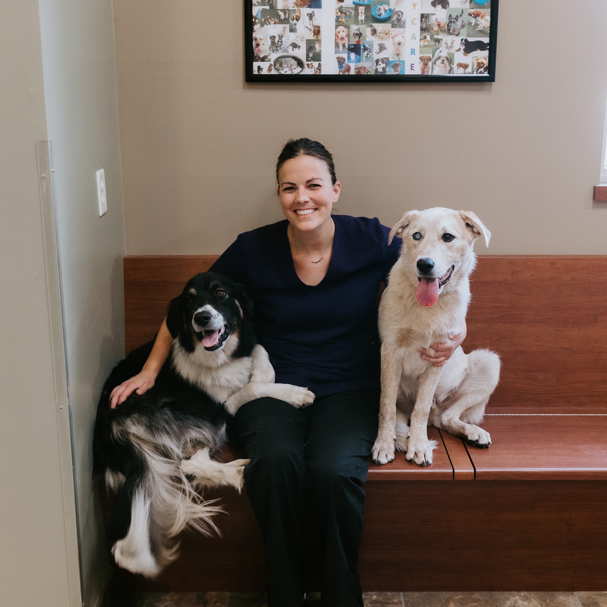 Pine River Veterinary Clinic Richland Center