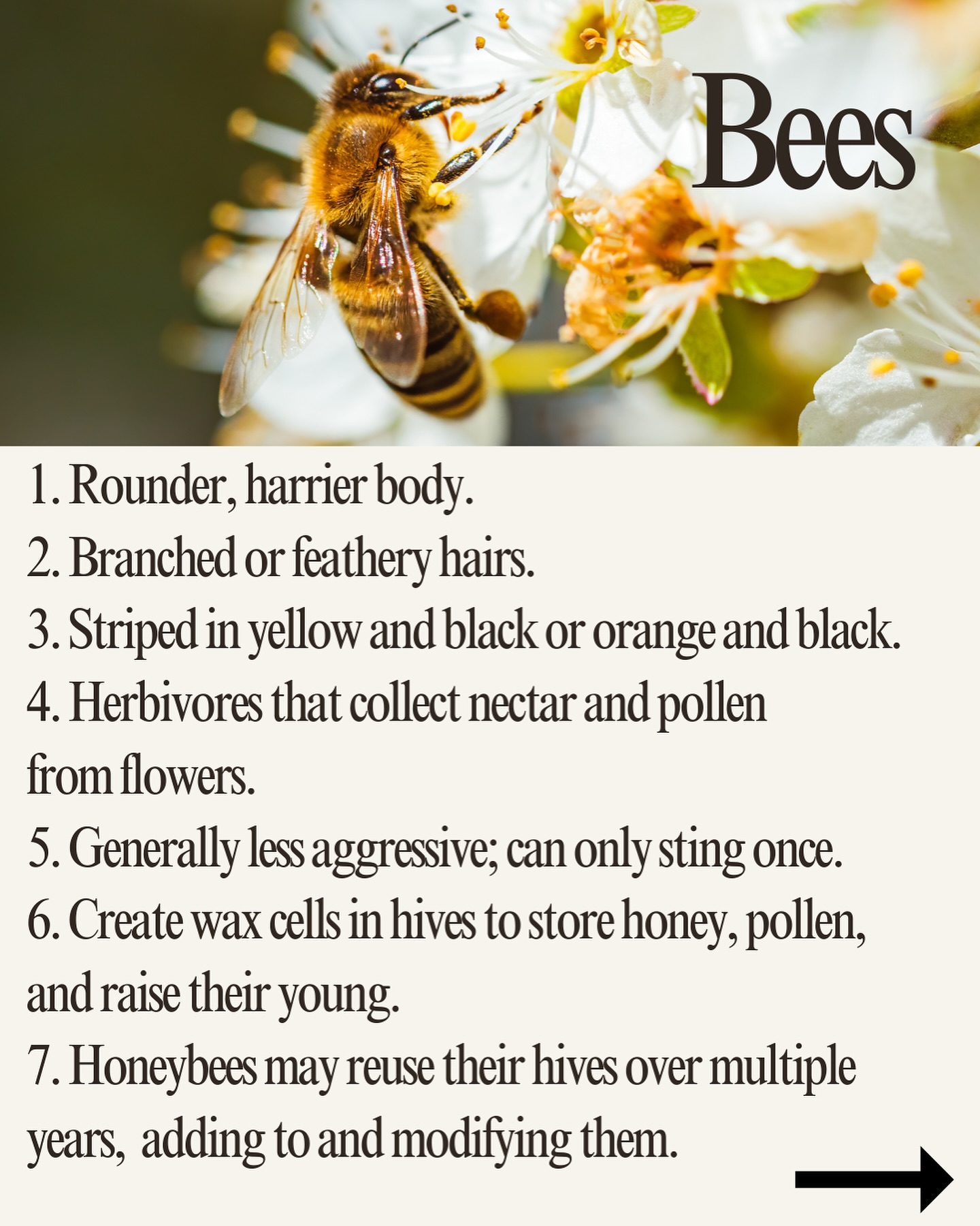 United Pest Solutions