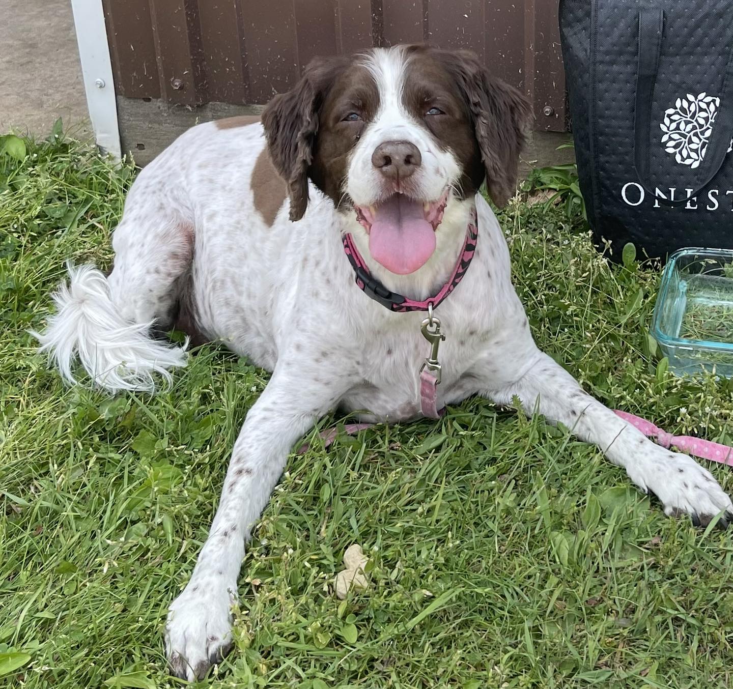 Elite Waxing Studio 942 Water St Suite 102, Sauk City Wisconsin 53583