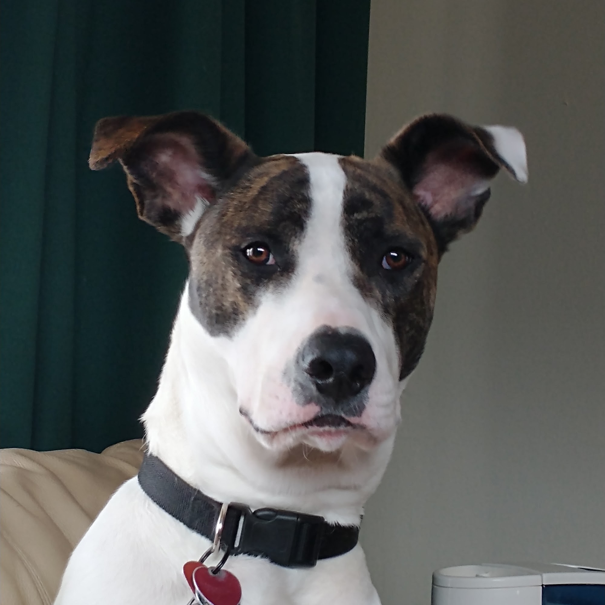 Saukville Veterinary Clinic: Stephani Jennifer DVM Saukville