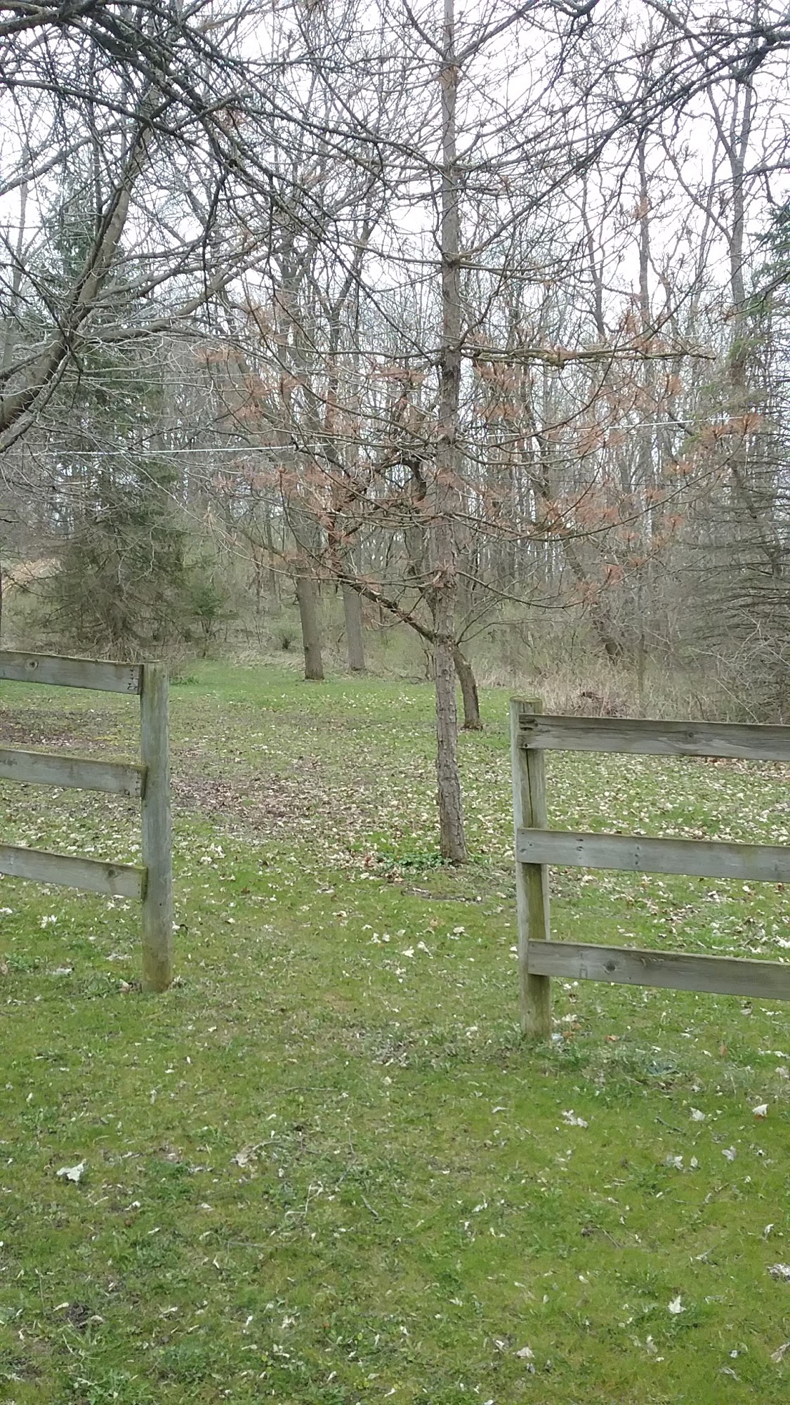 Blue Heron Wild Life Sanctuary Saukville