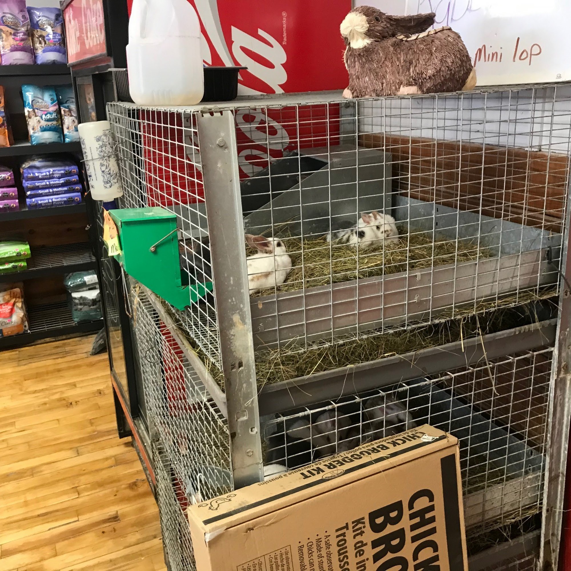 The South Forty Shawano