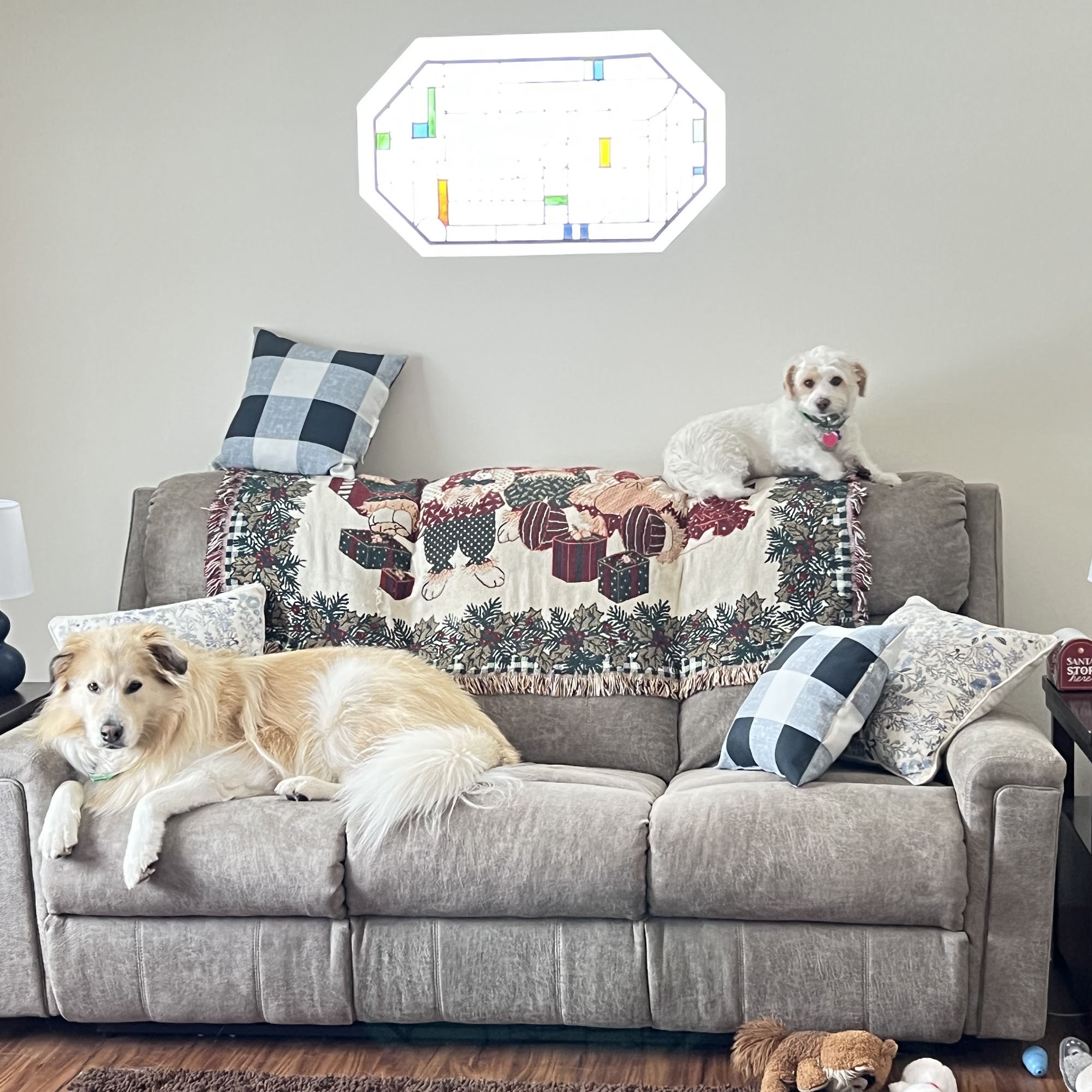 Jill's Pet Grooming Shawano