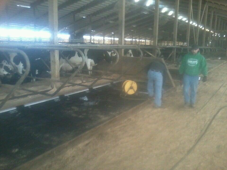 Majestic Meadows Dairy Sheboygan Falls