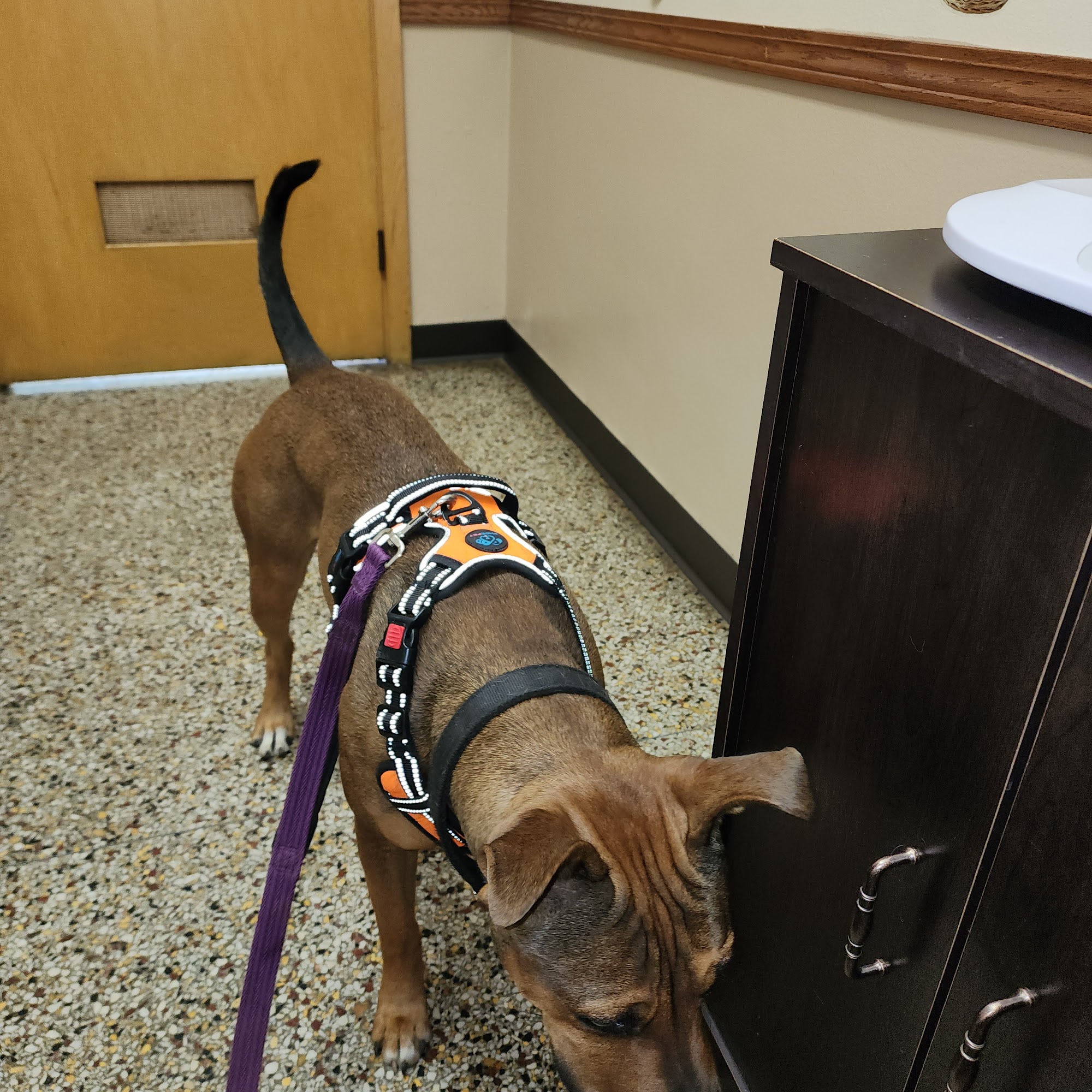 Critter Care Animal Clinic Sheboygan