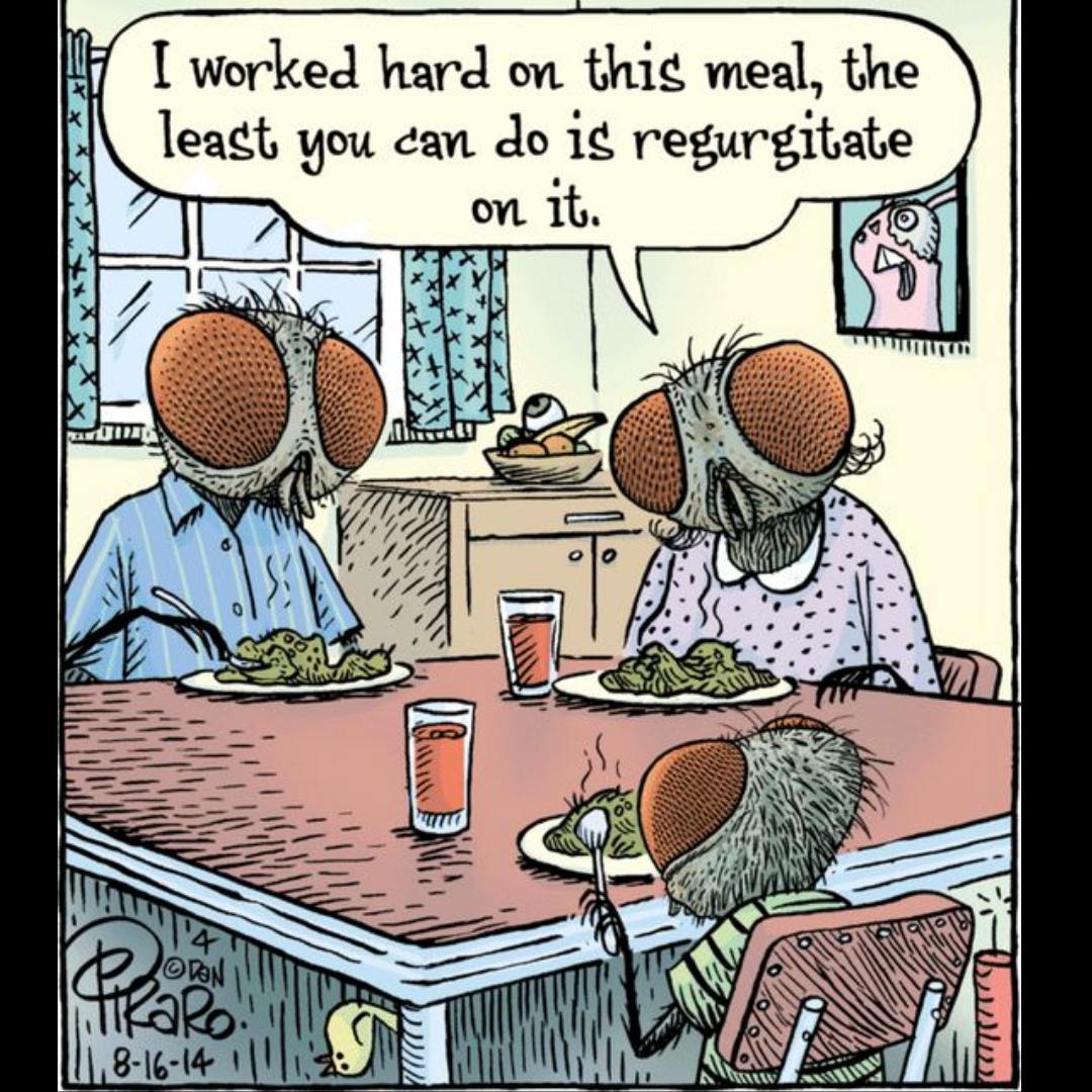 Smithereen Pest Management Services