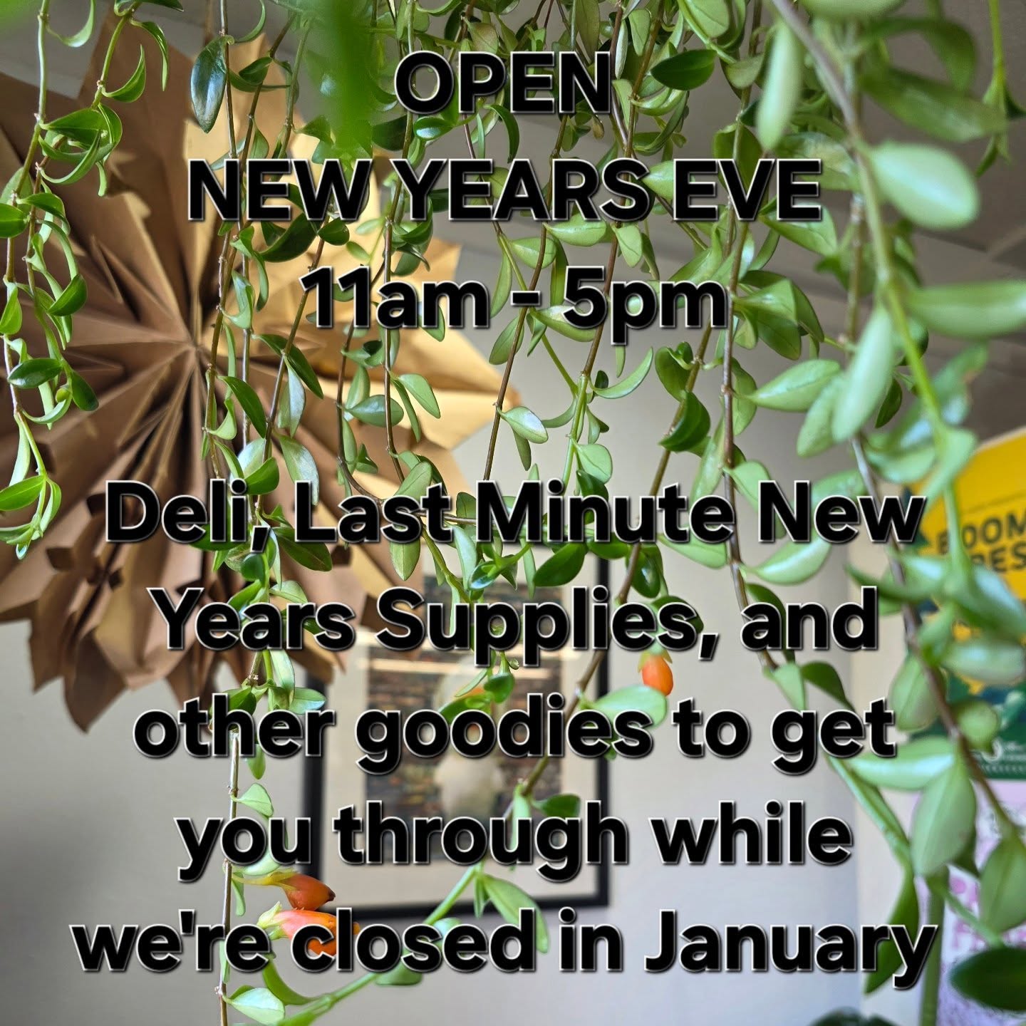 Wander Provisions Spring Green