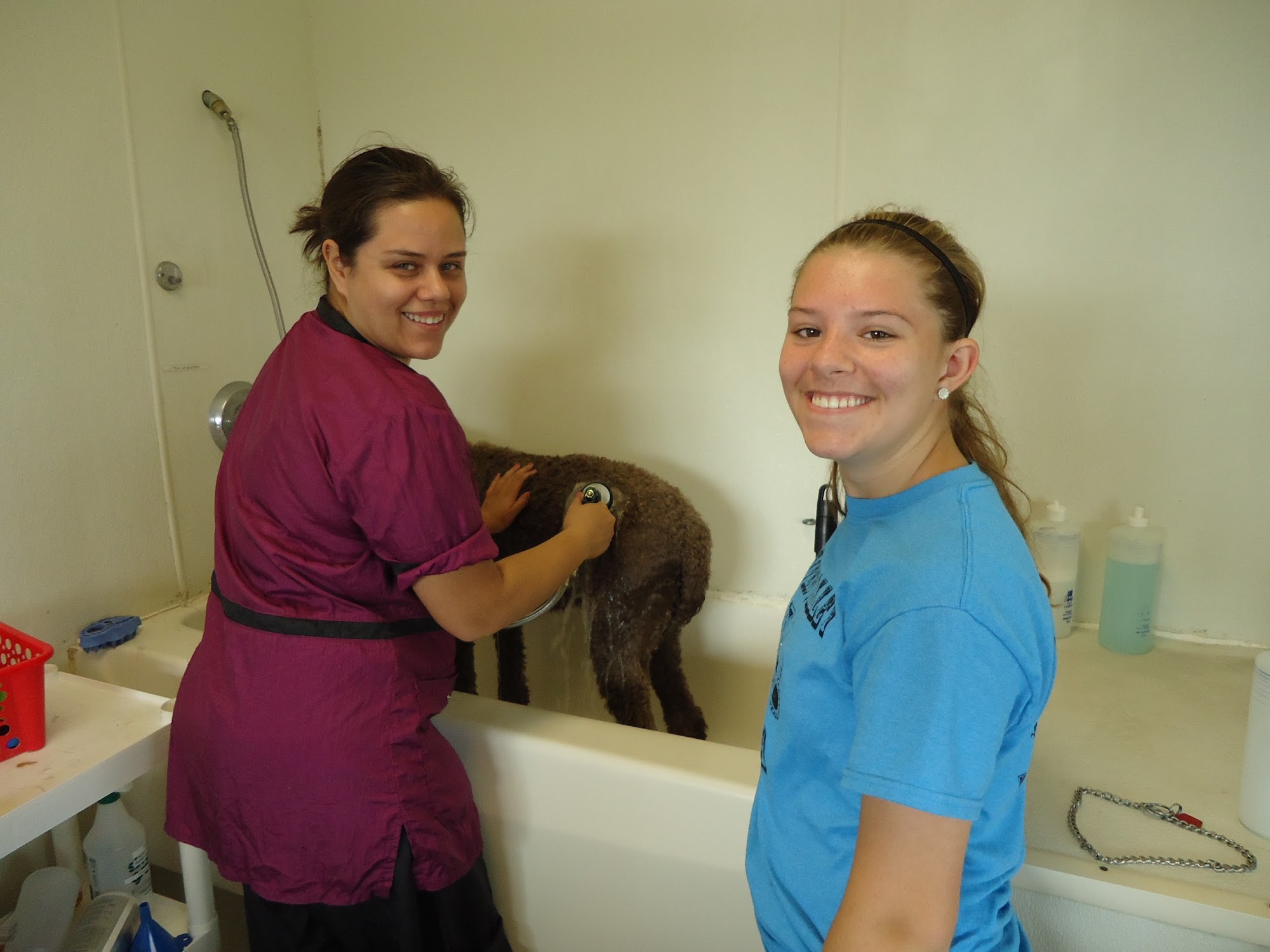 Spring Green Pet Resort Spring Green